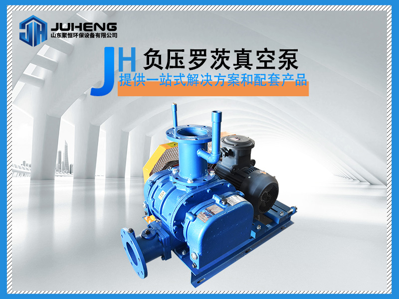 負壓型羅茨風機